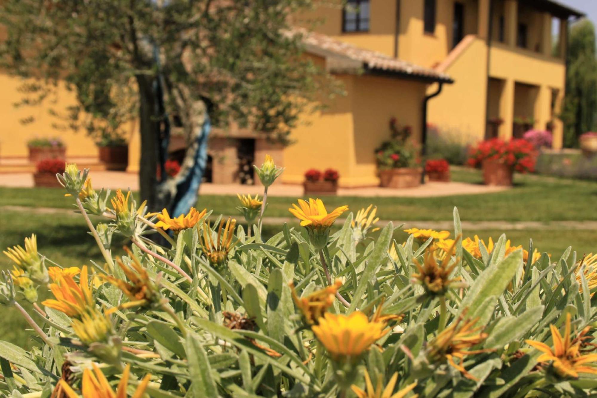 Aparthotel Podere Tre Cipressi à Campiglia Marittima Extérieur photo